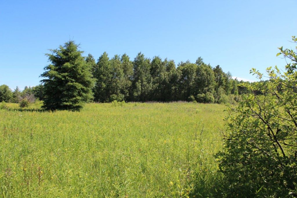 vacant lof for sale Nipissing Dignam Land Land for Sale in Canada