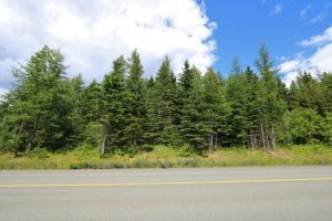 land for sale in NB