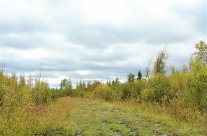 land for sale in Northern Ontario