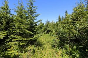 land for sale Cape Breton Island Nova Scotia