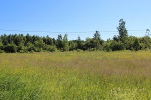 Nipissing Ontario acreage for sale