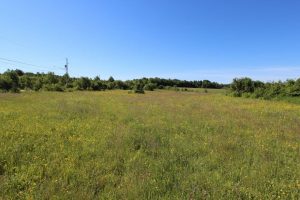 Nipissing Ontario cottage land for sale