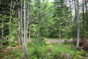 New Brunswick hunting land for sale
