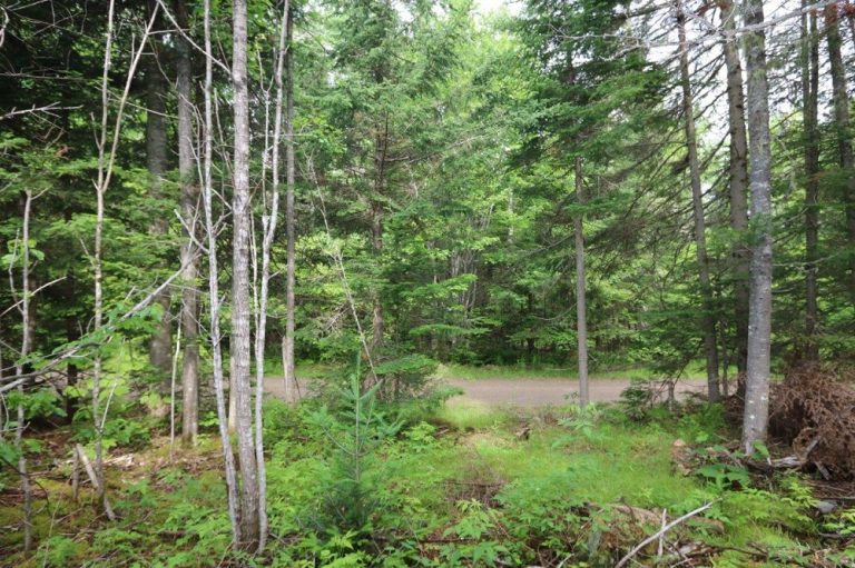 hunting land for sale in New Brunswick Dignam Land