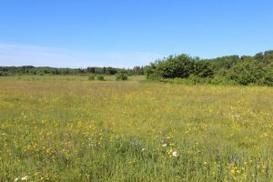 Nipissing Ontario hunting land for sale