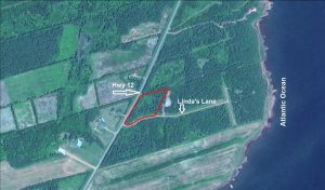 Prince County PEI hunting land for sale
