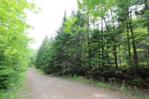 New Brunswick land for sale