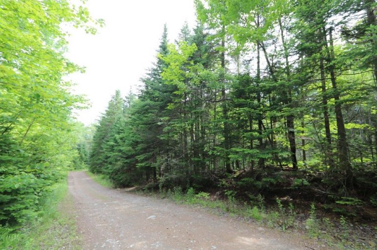 land for sale in New Brunswick Dignam Land