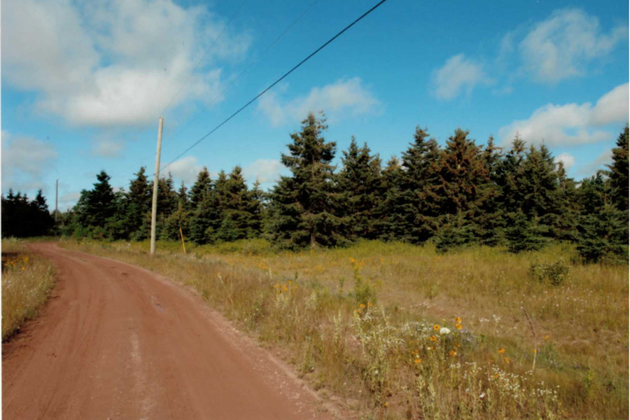 land for sale in Prince County PEI - Dignam Land