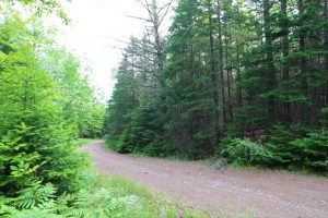 New Brunswick property for sale