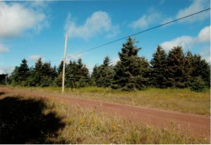 Prince County PEI property for sale