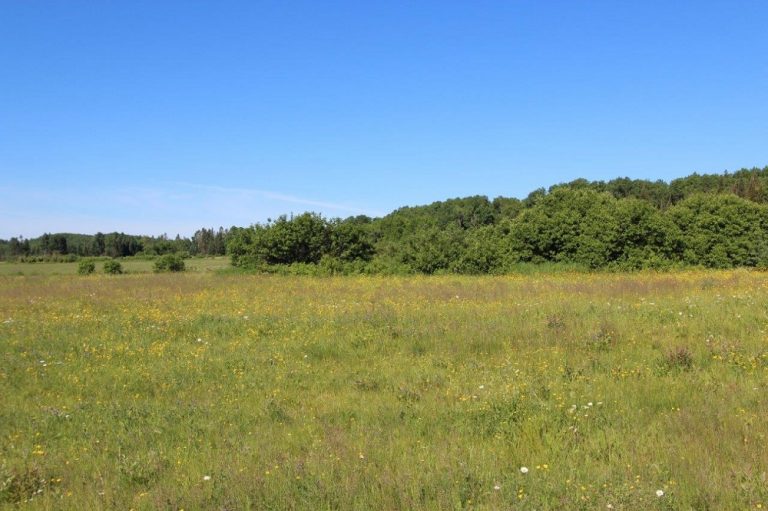 vacant land for sale in Nipissing Ontario Dignam Land Land for Sale