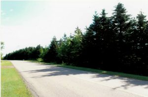 Prince County PEI vacant land for sale