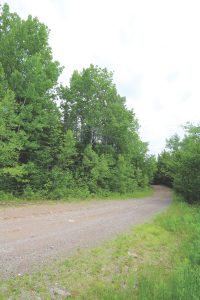 New Brunswick Hunting Land