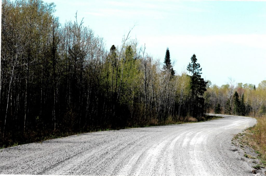 algomalandforsale Dignam Land Land for Sale in Canada