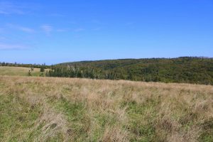 Cottage Land for Sale in Cape Mabou