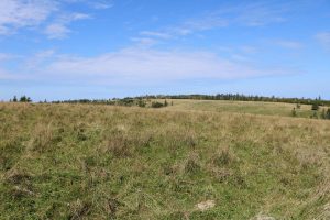 Cottage Property for Sale in Cape Mabou
