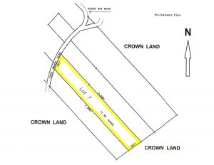 Forest Land in Cape Mabou