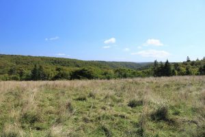 Hunting Property for Sale in Cape Mabou