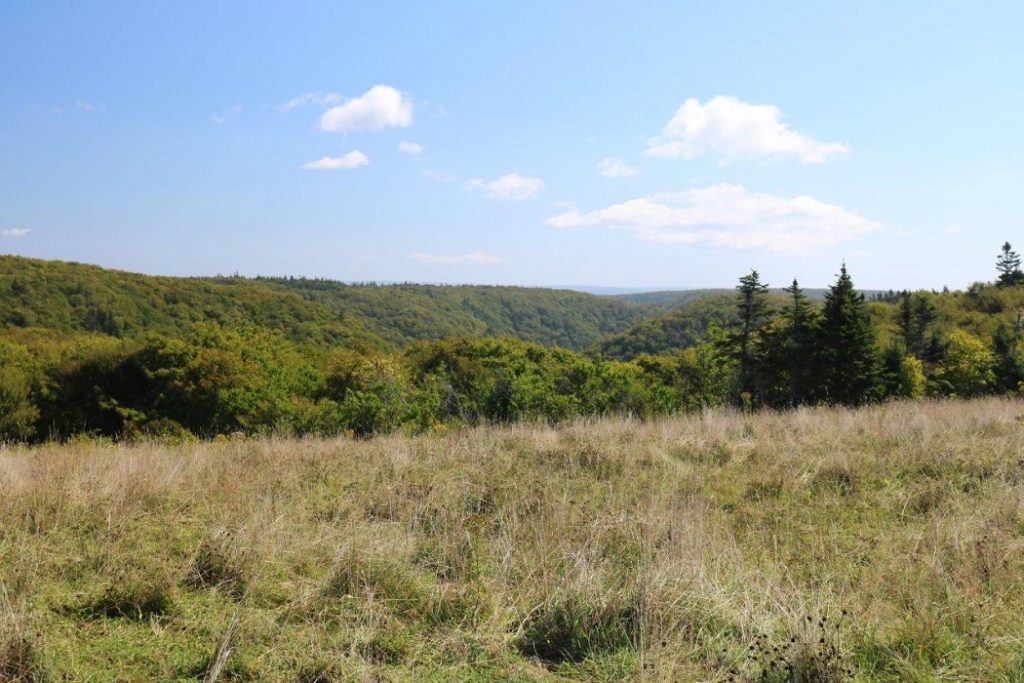 capemaboupropertyforsale Dignam Land Land for Sale in Canada