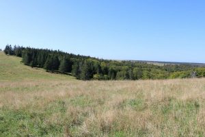 Hunting Property for Sale in Inverness County