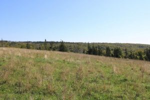Land for Sale in Inverness County