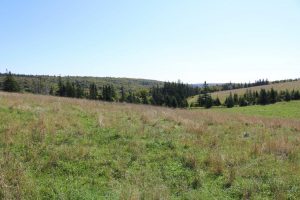 Property for Sale in Inverness County