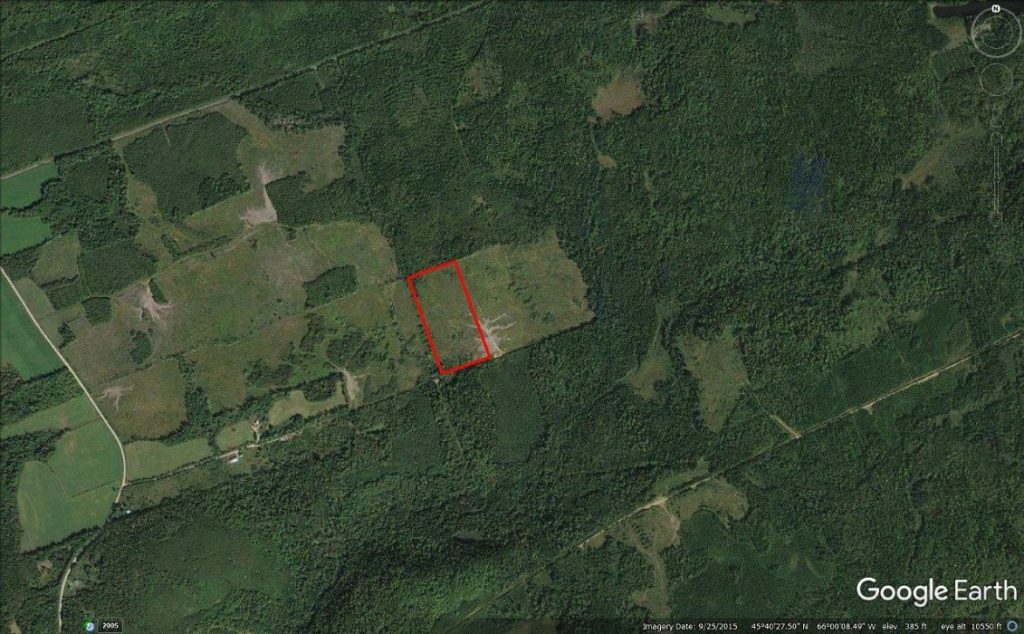 wickhamforestland Dignam Land