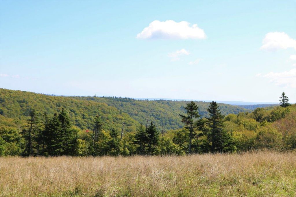 CapeBretonLandforSale Dignam Land Land for Sale in Canada