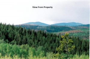 Cottage Land for Sale in the Cariboo District