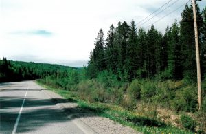 Hunting Property for Sale in the Cariboo District