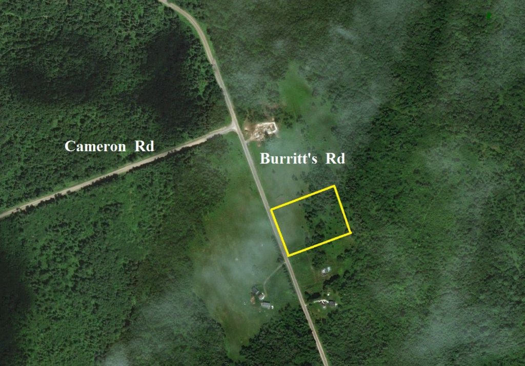 Cameroncottagelandforsale Dignam Land Land for Sale in Canada