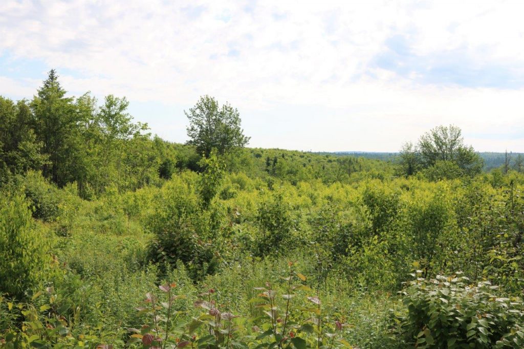 huntingpropertyforsalewickham Dignam Land Land for Sale in Canada