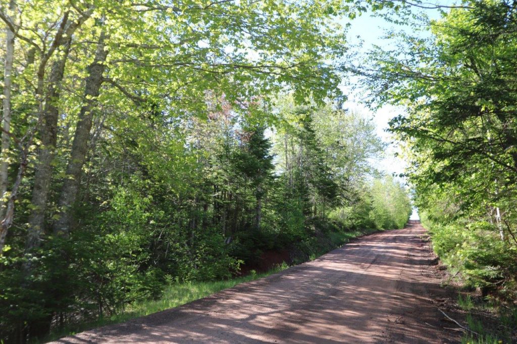 IMG_5572 Dignam Land