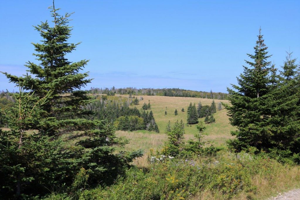 MabouLandforSale Dignam Land Land for Sale in Canada