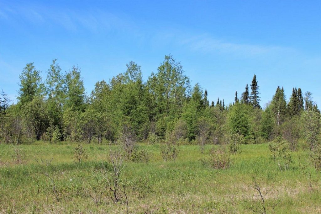 OpasatikaHuntingLandforSale Dignam Land Land for Sale in Canada