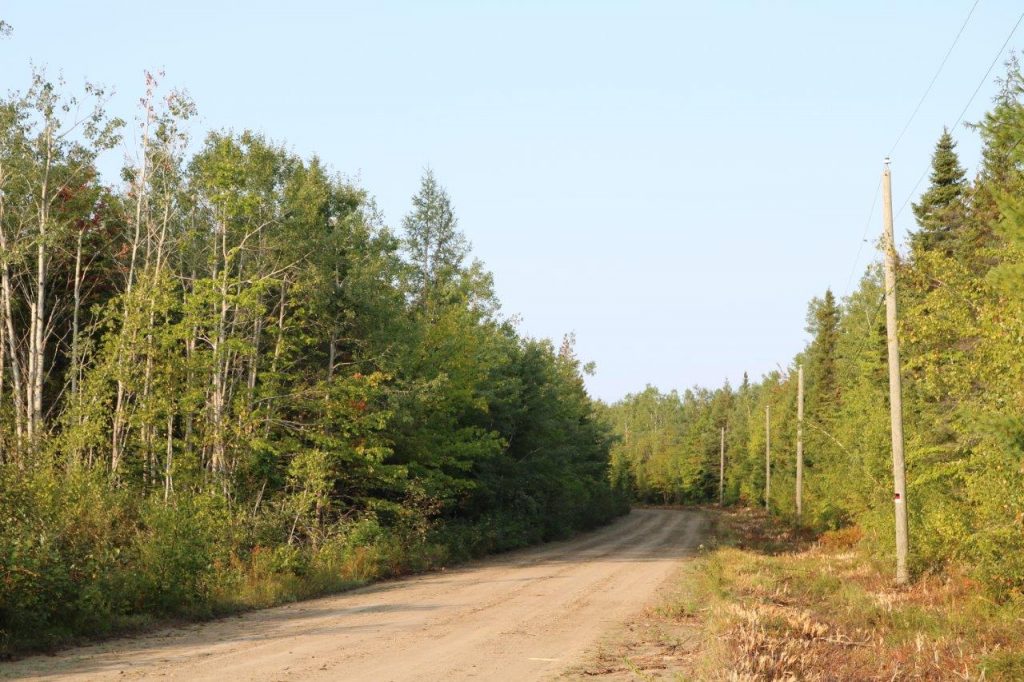 KentHuntingLandforSale Dignam Land Land for Sale in Canada