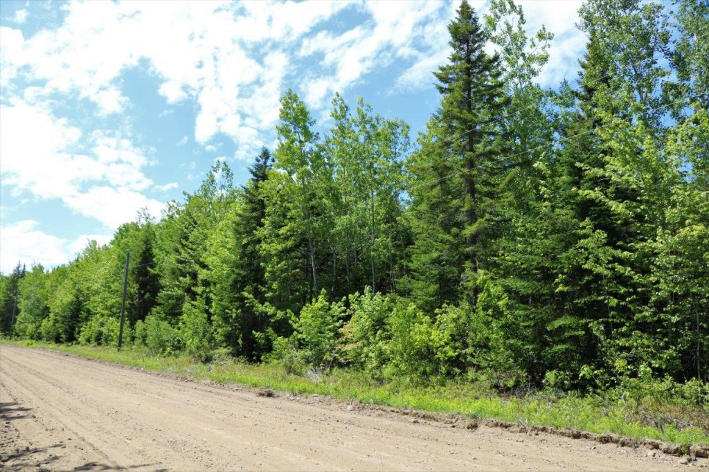 New Brunswick land for sale Dignam Land