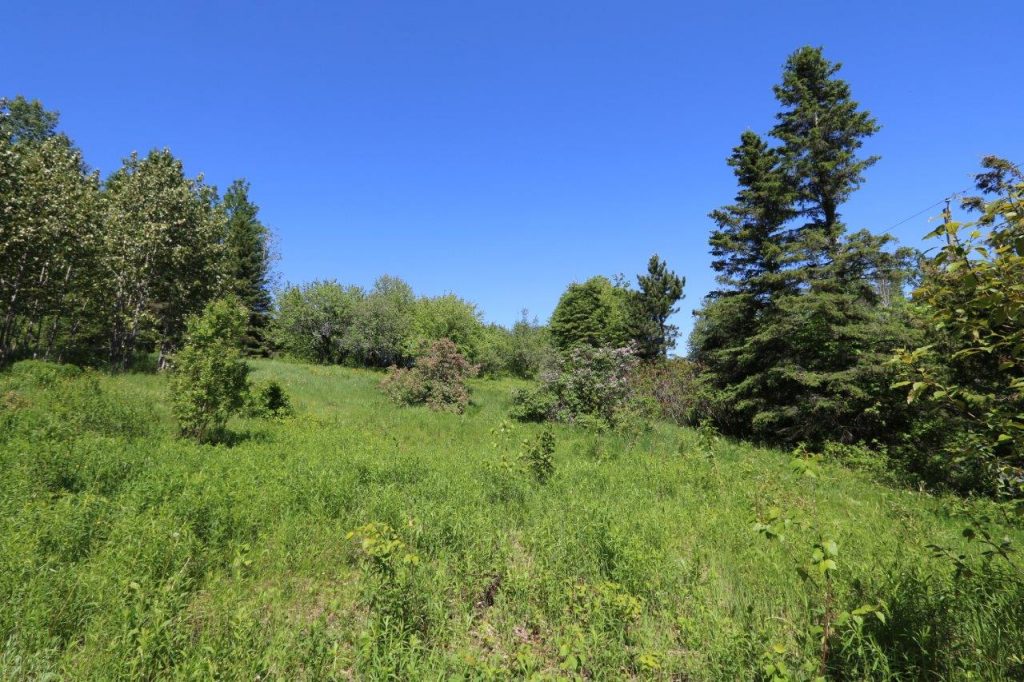 HuntingpropertyforsaleMadawaska Dignam Land Land for Sale in Canada