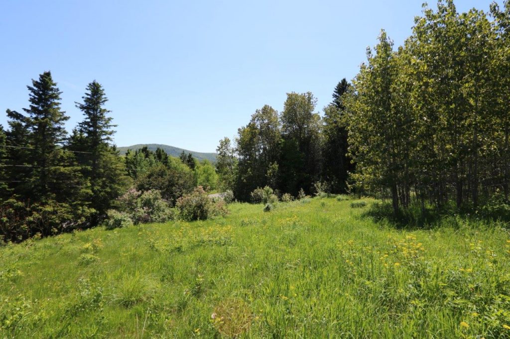 LandforsaleMadawaska Dignam Land Land for Sale in Canada