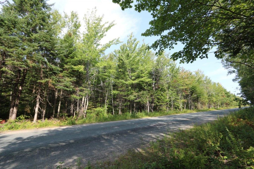 Northumberlandforestlandforsale Dignam Land Land for Sale in Canada