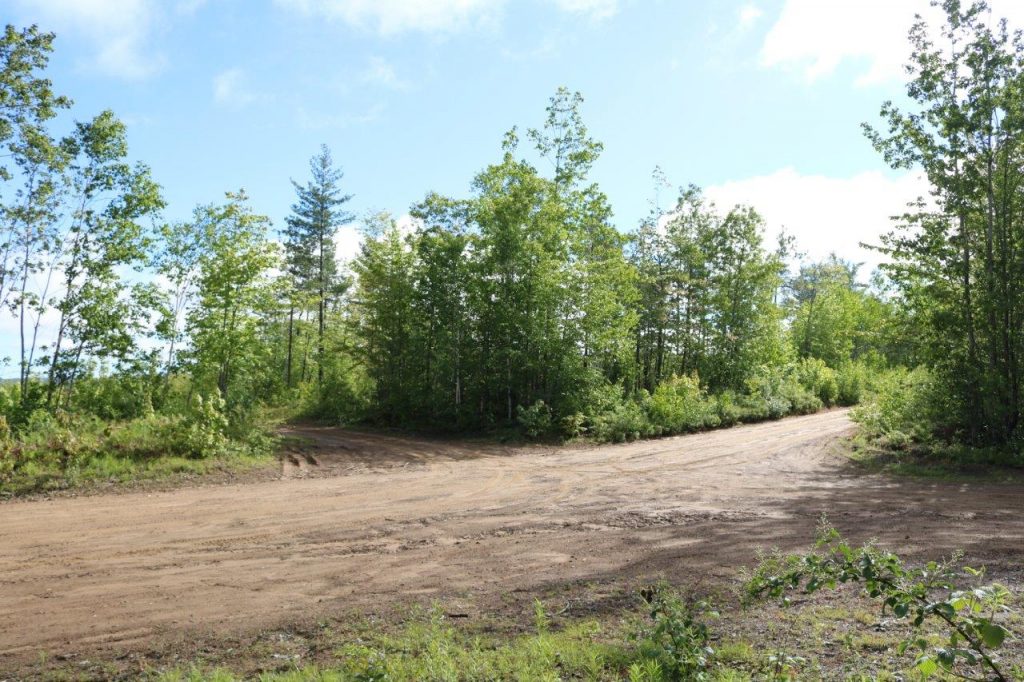 cottagelandforsalecardwell Dignam Land Land for Sale in Canada