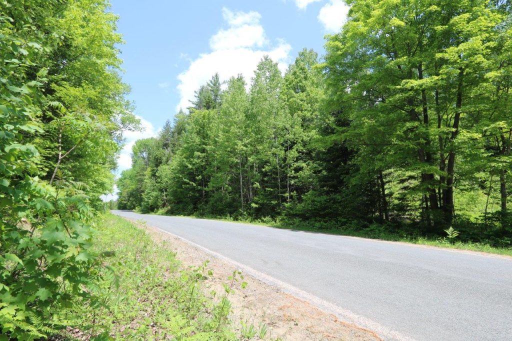 cottagepropertyforsalehaliburton Dignam Land Land for Sale in