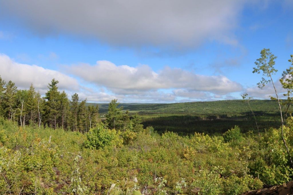 huntinglandforsalecardwell Dignam Land Land for Sale in Canada