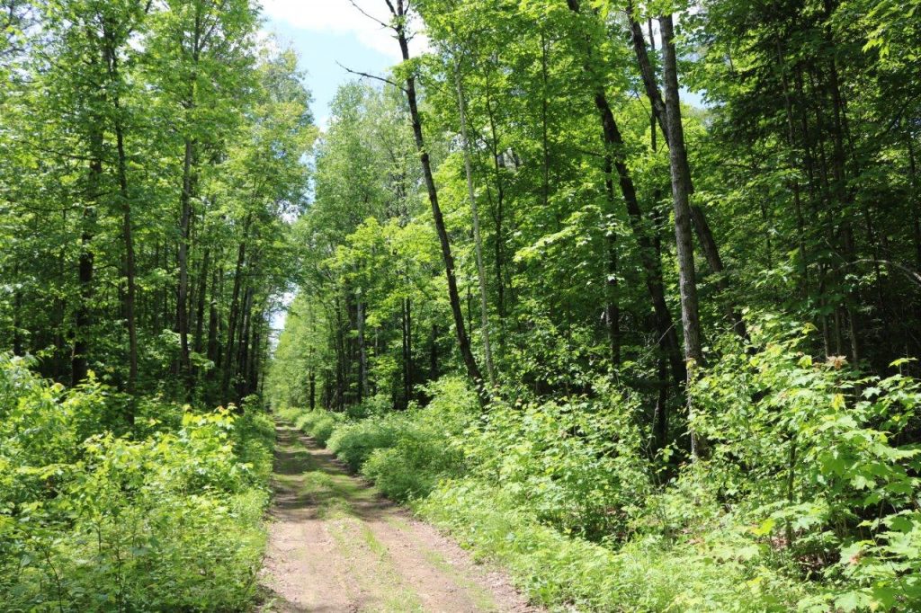 propertyforsalehaliburton Dignam Land Land for Sale in Canada