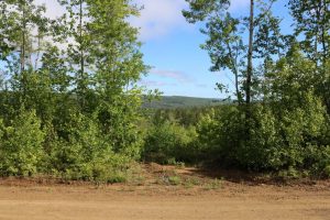 Cottage Land for Sale in Cardwell