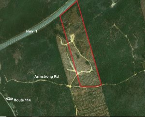 Forest Land for Sale in Cardwell