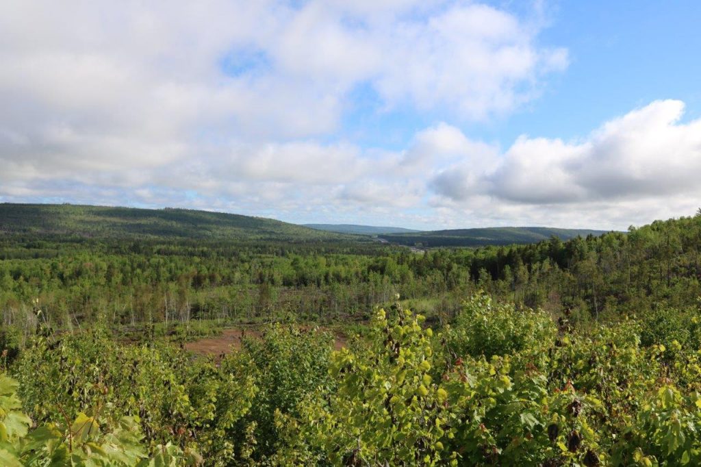 CardwellPropertyforSale Dignam Land Land for Sale in Canada