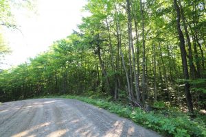 Cottage Land for Sale in Parry Sound