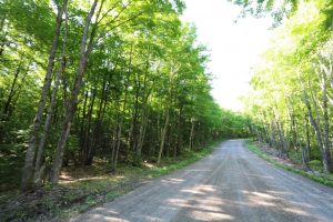 Hunting Land for Sale in Parry Sound